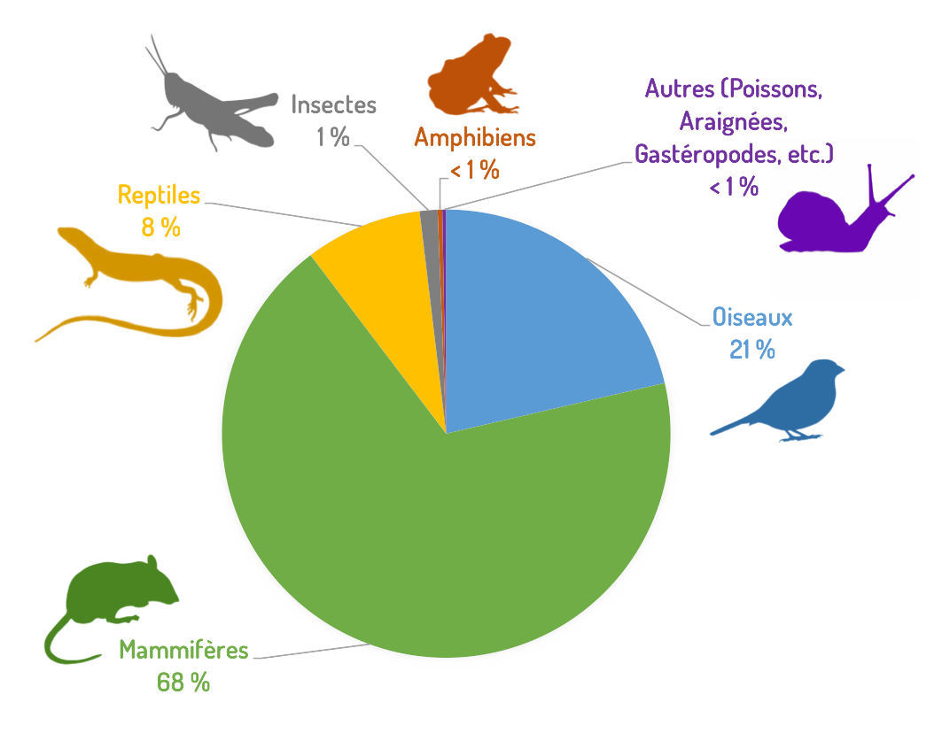 Figure 1. Proportion de proies ramenées à la maison par les chats domestiques en France (janvier 2015 - août 2022)