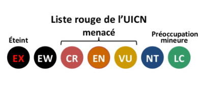 Evaluations_ListeRouge_UICN