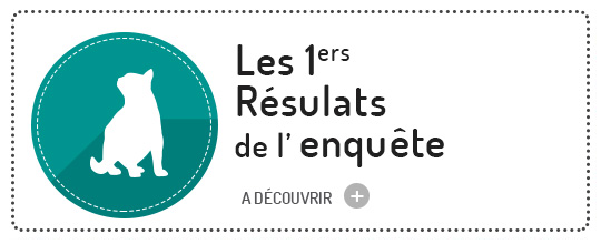 Les premiers resultats