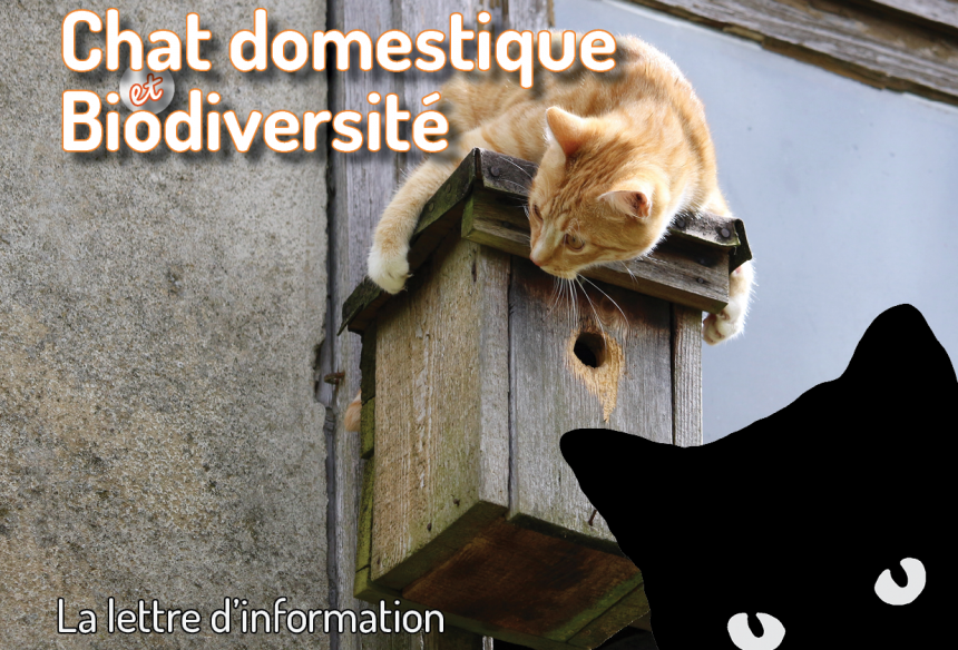 Lettre chat & Biodiversité 9