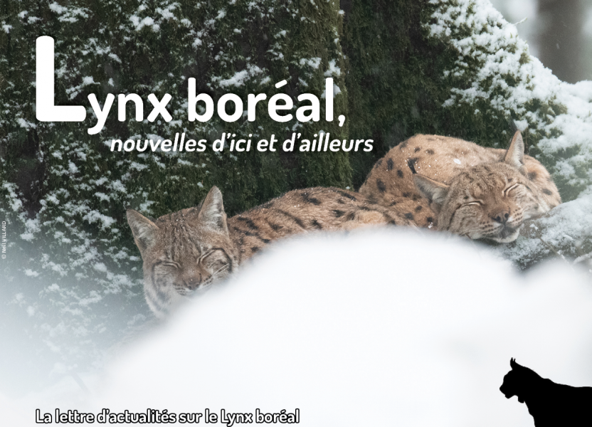 Lettre_Actus_Lynx_13_fev2023_SFEPM-NVillard