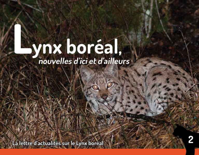 Couverture Feuille d'actualités Lynx n°2 - Patrice Raydelet Couverture Feuille d'actualités Lynx n°2 - Patrice Raydelet