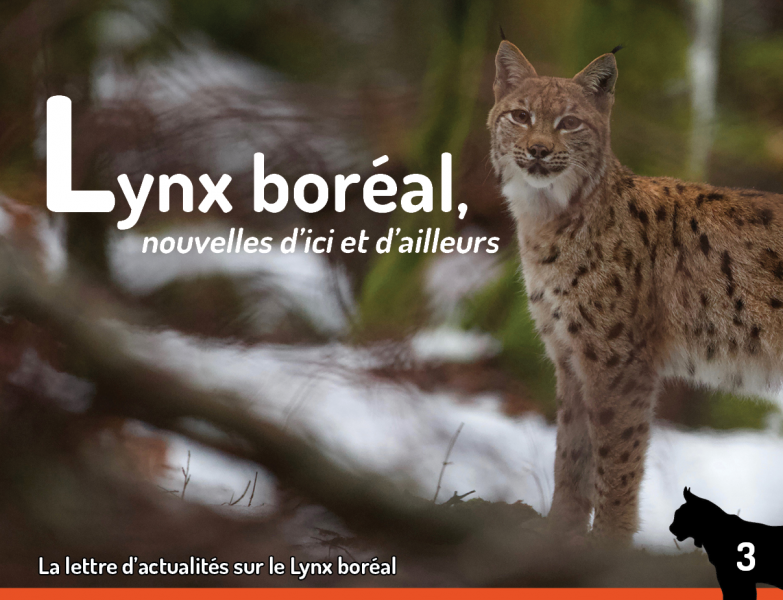 Couverture Lettre d'actualités Lynx n°3 - Didier Pépin Couverture Lettre d'actualités Lynx n°3 - Didier Pépin