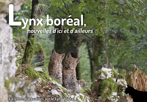 Lettre_Actualite_Lynx_SFEPM_Fabien_GREBAN