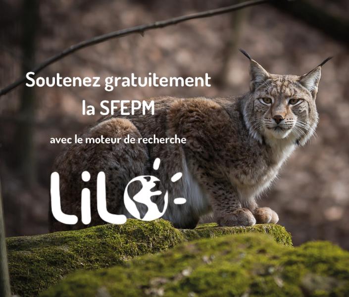 SFEPM et LILO