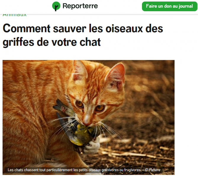 Reporterre_chat_oiseaux_fev2023