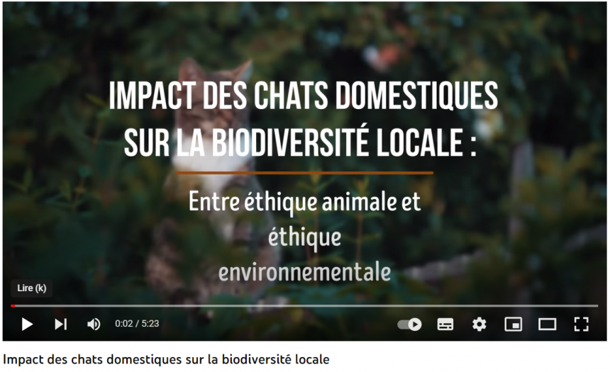 Video_ImpactChat_EtiqueAnimale&Environnementale Video_ImpactChat_EtiqueAnimale&Environnementale