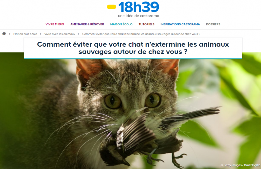 chat-18h39.fr