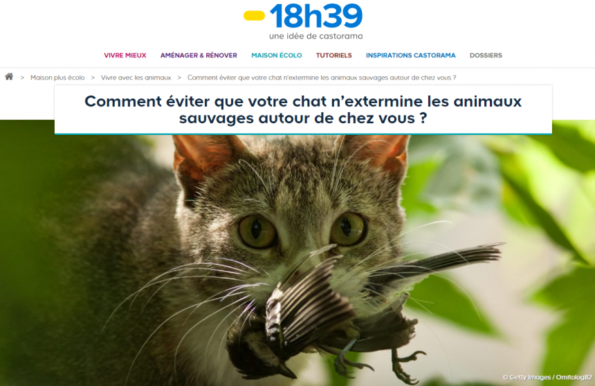 chat-18h39.fr chat-18h39.fr