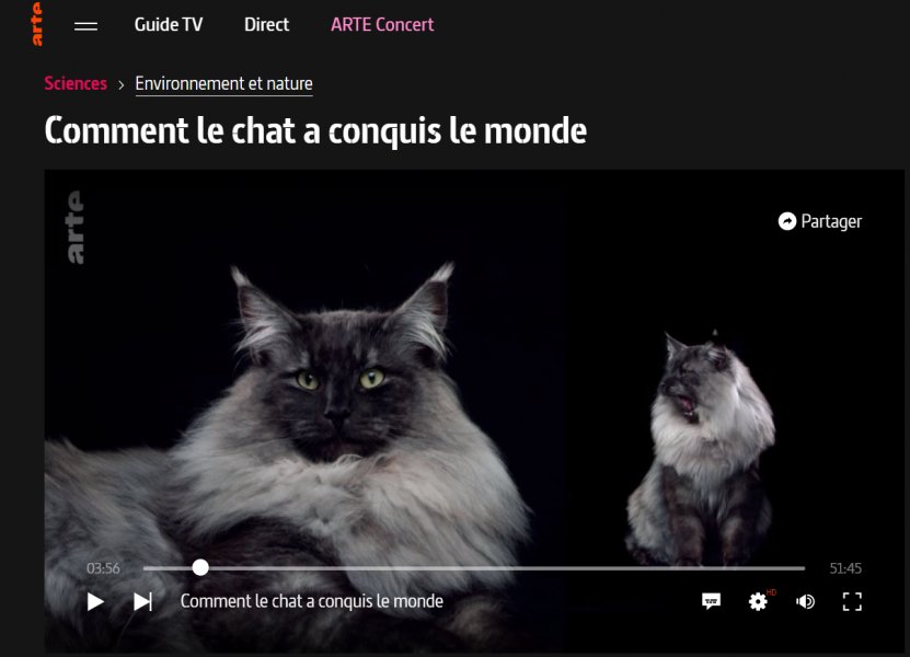 comment le chat a conquis le monde