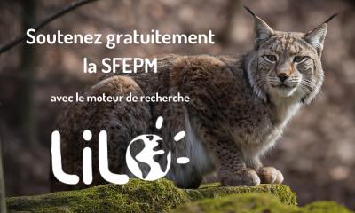 SFEPM et LILO