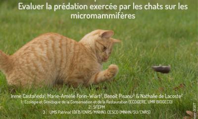 Présentation Chat-2RNPM