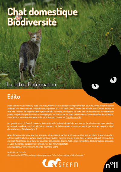 Lettre d'information Chat domestique & Biodiversité